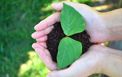 口袋德州官网-口袋德州APP下载