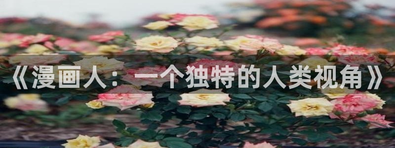 包子漫画app网页版