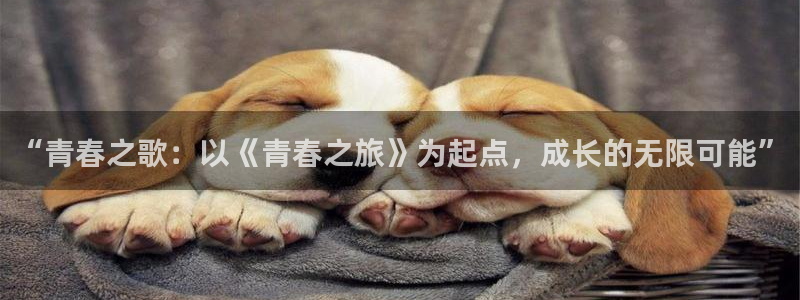包子漫画app正版下载