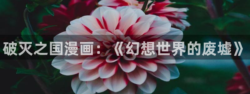 包子漫画免费漫画入口页面无广告